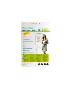 Bi-Office Flipchart Papier 65 x 98 cm Earth