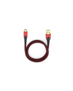 Oehlbach USB 3.1-Kabel Evolution C3 USB A - USB C 3 m
