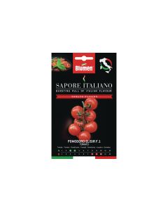 Blumen Samen Tomate Elisir F.1