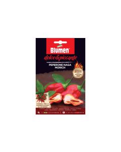 Blumen Samen Paprika Naga Morich