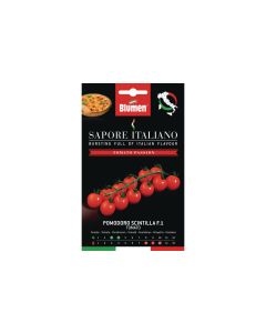 Blumen Samen Tomate Scintilla F.1