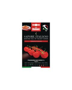 Blumen Samen Tomate Zucchero F.1