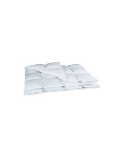 Albis Albis Arven 600 Duvet mit Arvenholzspänen 200 x 210 cm