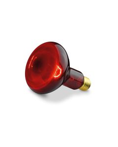 Beurer Infrarotlampe IL 11 Ersatzstrahler