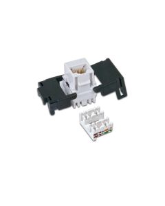 Wirewin Keystone-Modul Cat.6A UTP
