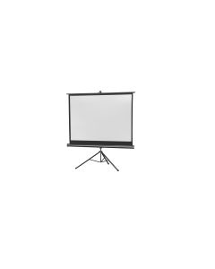 Celexon Stativleinwand Eco 244x183cm 4:3