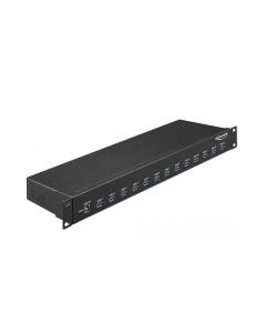 Delock USB-Hub 64039 USB 3.0 - 13x Type-A