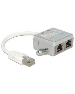 Delock Anschlussverdoppler 2x 100Mbps LAN 1 Stück