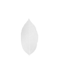Creativ Company Papierdekoration Laubblätter, Weiss, 20 Stück