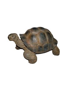 Vivid Arts Dekofigur Schildkröte