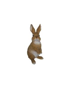Vivid Arts Dekofigur Hase