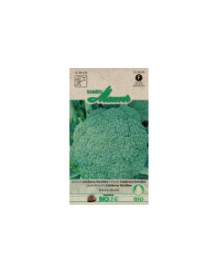 Samen Mauser Samen Broccoli Calabrese Natal