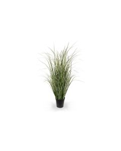 Botanic-Haus Kunstpflanze Schilfgras, Grün-Créme, 80 cm