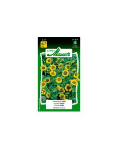 Samen Mauser Saatgut Sonnenblume Sonja