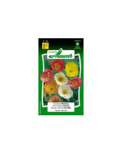 Samen Mauser Saatgut Islandmohn Mischung