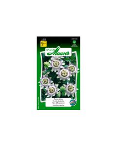 Samen Mauser Saatgut Passionsblume