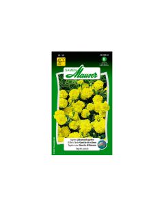 Samen Mauser Saatgut Tagetes Zitronentropfen