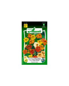 Samen Mauser Essbare Blüten Kapuzinerkresse Bunte Juwelen