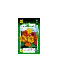 Samen Mauser Essbare Blüten Kapuzinerkresse GlanzHybriden