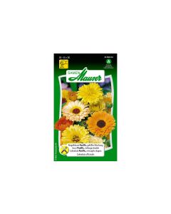Samen Mauser Essbare Blüten Ringelblume Pacific, gefüllte Mischung
