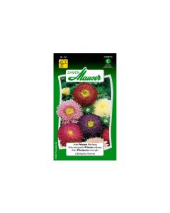 Samen Mauser Saatgut Aster Prinzess Mischung