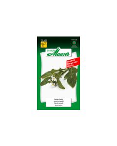 Samen Mauser Samen Wasabi Rauke