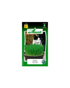 Samen Mauser Samen Katzengras 25g