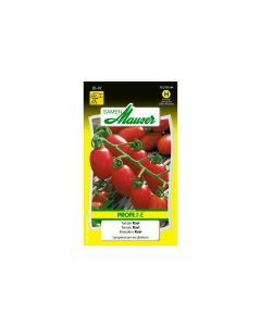 Samen Mauser Samen Profiline Stab-Tomate Ravi