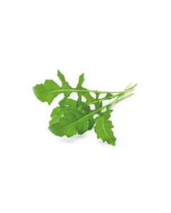 Click and Grow Samen Rucola Nachfüllpackung 3er-Set
