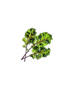 Click and Grow Samen Roter Kohl Nachfüllpackung 3er-Set
