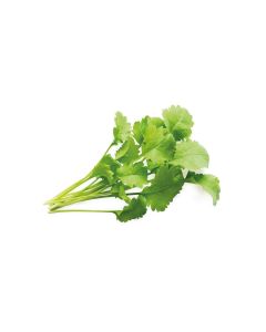 Click and Grow Samen Kresse Nachfüllpackung 3er-Set