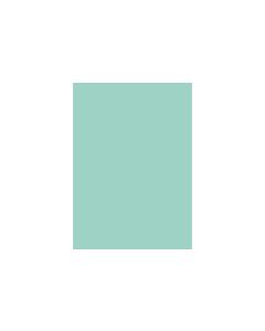 d-c-fix Designfolie Uni Lack Mint