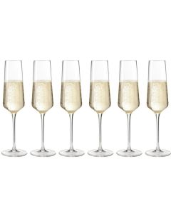 Leonardo Sektglas Puccini 280 ml, 6 Stück, Transparent 