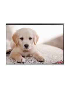 Kolma Schreibunterlage Undercover Poster Hund, 50 x 34 cm