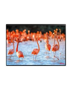 Kolma Schreibunterlage Undercover Poster Flamingo, 50 x 34 cm
