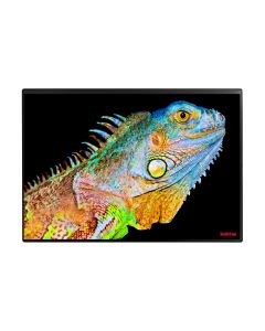 Kolma Schreibunterlage Undercover Poster Exotic 50 x 34 cm