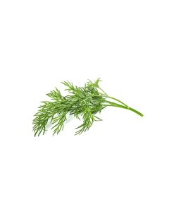 Click and Grow Samen Dill