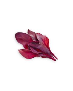 Click and Grow Samen Roter Mangold