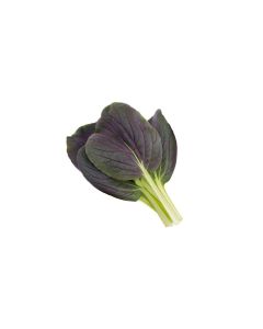 Click and Grow Samen Roter Pak Choi