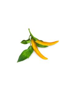Click and Grow Samen Gelber Chili